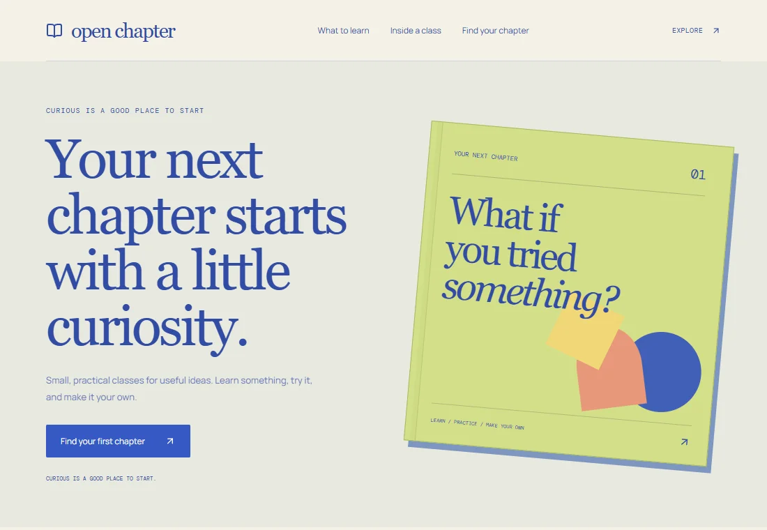 Open Chapter — landing page preview